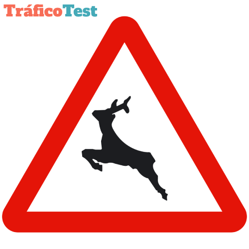 P-24 Paso de animales en libertad